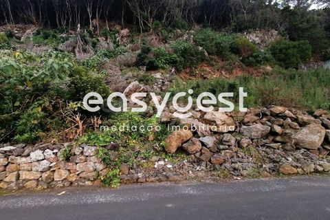 Terra a Biscoitos, Terceira, Biscoitos - € 15.000 | Ref: AZ84907DA - foto 25