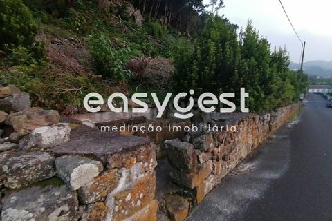 Terra a Biscoitos, Terceira, Biscoitos - € 15.000 | Ref: AZ84907DA - foto 27