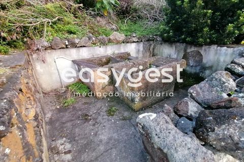 Terra a Biscoitos, Terceira, Biscoitos - € 15.000 | Ref: AZ84907DA - foto 28