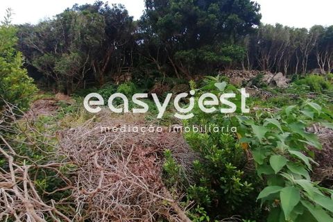 Terra a Biscoitos, Terceira, Biscoitos - € 15.000 | Ref: AZ84907DA - foto 30