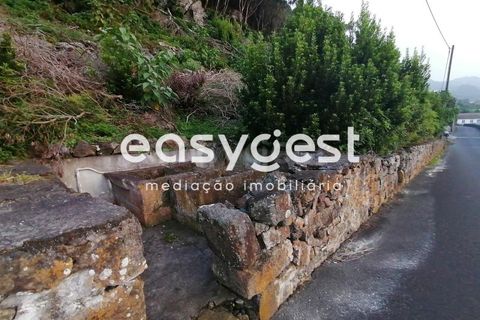 Terra a Biscoitos, Terceira, Biscoitos - € 15.000 | Ref: AZ84907DA - foto 31