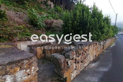 Terra a Biscoitos, Terceira, Biscoitos - € 15.000 | Ref: AZ84907DA - foto 32