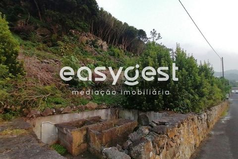 Terra a Biscoitos, Terceira, Biscoitos - € 15.000 | Ref: AZ84907DA - foto 33