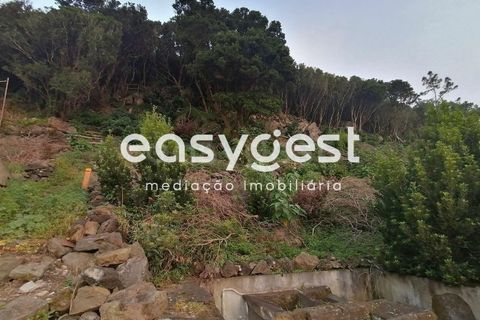 Terra a Biscoitos, Terceira, Biscoitos - € 15.000 | Ref: AZ84907DA - foto 34