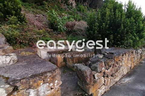 Terra a Biscoitos, Terceira, Biscoitos - € 15.000 | Ref: AZ84907DA - foto 35