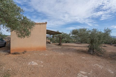 Finca i Xerta, Tarragona, Xerta - € 65.000 | Ref: 780 - foto 15