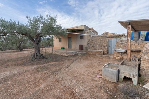 Finca i Xerta, Tarragona, Xerta - € 65.000 | Ref: 780 - foto 3