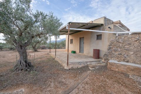Finca i Xerta, Tarragona, Xerta - € 65.000 | Ref: 780 - foto 4