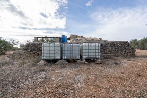 Finca i Xerta, Tarragona, Xerta - € 65.000 | Ref: 780 - foto 13