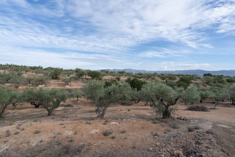 Finca i Xerta, Tarragona, Xerta - € 65.000 | Ref: 780 - foto 19