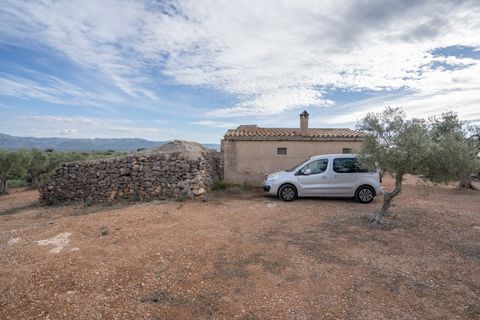 Finca i Xerta, Tarragona, Xerta - € 65.000 | Ref: 780 - foto 10