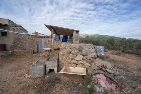 Finca i Xerta, Tarragona, Xerta - € 65.000 | Ref: 780 - foto 11