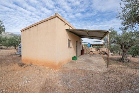 Finca i Xerta, Tarragona, Xerta - € 65.000 | Ref: 780 - foto 16