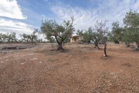 Finca i Xerta, Tarragona, Xerta - € 65.000 | Ref: 780 - foto 17
