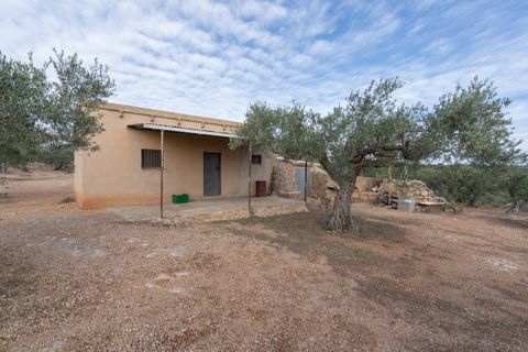 Finca i Xerta, Tarragona, Xerta - € 65.000 | Ref: 780 - foto 2