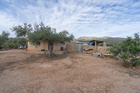 Finca i Xerta, Tarragona, Xerta - € 65.000 | Ref: 780 - foto 5
