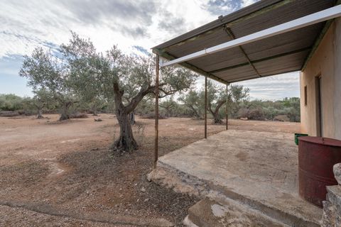 Finca i Xerta, Tarragona, Xerta - € 65.000 | Ref: 780 - foto 14