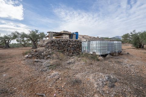 Finca i Xerta, Tarragona, Xerta - € 65.000 | Ref: 780 - foto 12