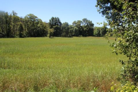 Terra a Paul, Castelo Branco, Paul - € 10.000 | Ref: W6116 - foto 3
