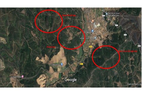 Terra a Paul, Castelo Branco, Paul - € 10.000 | Ref: W6116 - foto 2