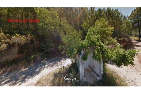 Terra a Paul, Castelo Branco, Paul - € 10.000 | Ref: W6116 - foto 4