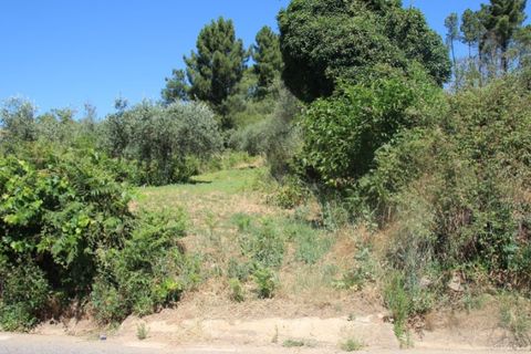 Terra a Paul, Castelo Branco, Paul - € 10.000 | Ref: W6116 - foto 5