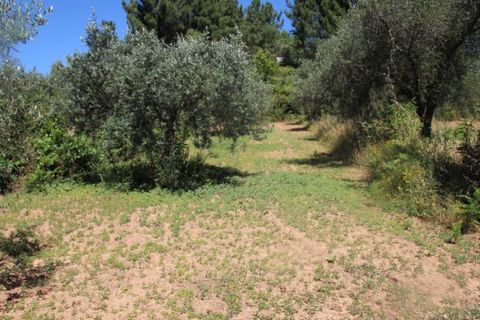 Terra a Paul, Castelo Branco, Paul - € 10.000 | Ref: W6116 - foto 6