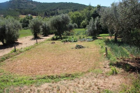Terra a Paul, Castelo Branco, Paul - € 10.000 | Ref: W6116 - foto 8