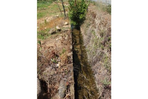 Terra a Paul, Castelo Branco, Paul - € 10.000 | Ref: W6116 - foto 9