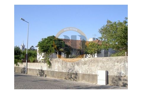 Farm i Ovar, Aveiro, Ovar - € 750.000 | Ref: Q/0003 - foto 4