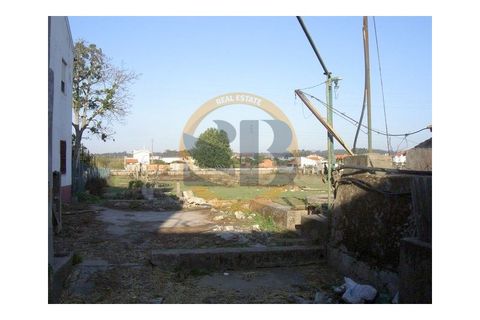 Farm i Ovar, Aveiro, Ovar - € 750.000 | Ref: Q/0003 - foto 6