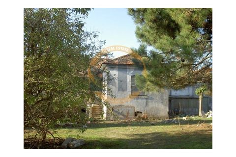 Farm i Ovar, Aveiro, Ovar - € 750.000 | Ref: Q/0003 - foto 8
