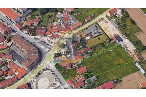 Farm i Ovar, Aveiro, Ovar - € 750.000 | Ref: Q/0003 - foto 9