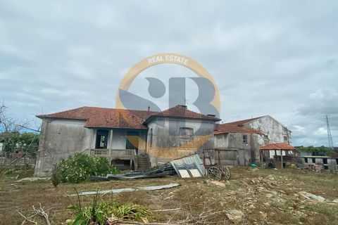 Farm i Ovar, Aveiro, Ovar - € 750.000 | Ref: Q/0003 - foto 3