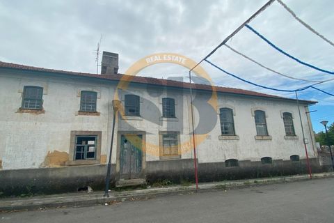 Farm i Ovar, Aveiro, Ovar - € 750.000 | Ref: Q/0003 - foto 36