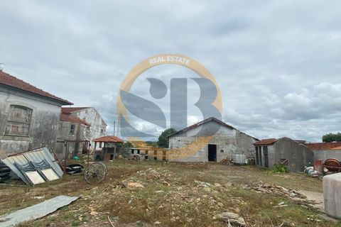 Farm i Ovar, Aveiro, Ovar - € 750.000 | Ref: Q/0003 - foto 11