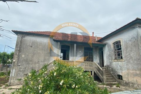 Farm i Ovar, Aveiro, Ovar - € 750.000 | Ref: Q/0003 - foto 12