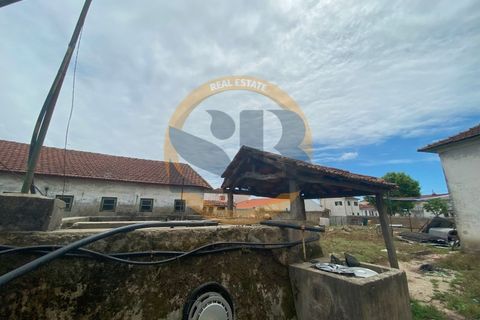 Farm i Ovar, Aveiro, Ovar - € 750.000 | Ref: Q/0003 - foto 13