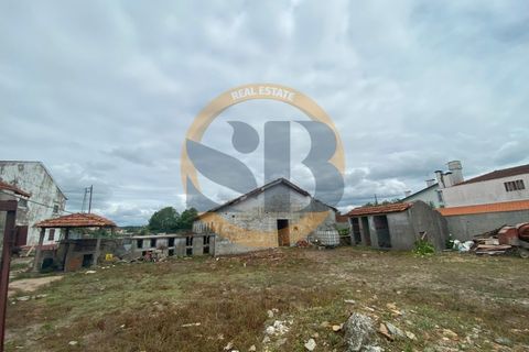 Farm i Ovar, Aveiro, Ovar - € 750.000 | Ref: Q/0003 - foto 14