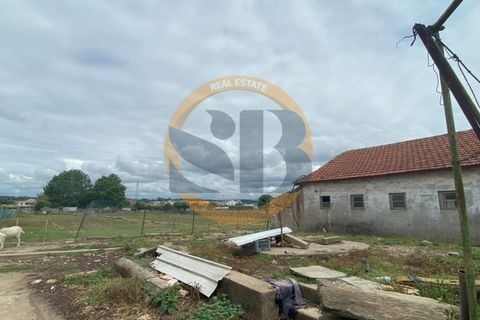 Farm i Ovar, Aveiro, Ovar - € 750.000 | Ref: Q/0003 - foto 15