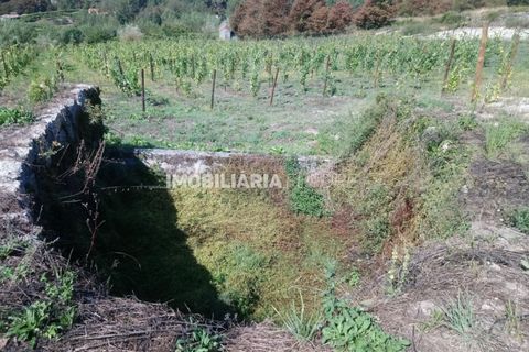 Helårsgrund i Baiao, Porto, Baiao - € 80.000 | Ref: MF0063 - foto 2