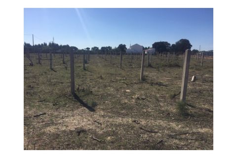 Helårsgrund i Santo Andre, Setubal, Santo Andre - € 550.000 | Ref: SÒL_160 - foto 2