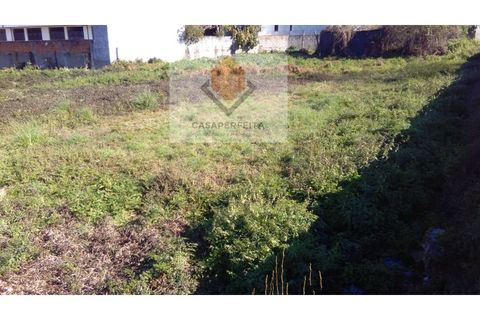 Helårsgrund i Oliveira do Douro, Porto, Oliveira do Douro - € 450.000 | Ref: 040 P/18 - foto 5