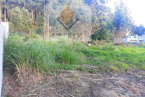 Terra a Seixezelo, Porto, Seixezelo - € 105.000 | Ref: 326P/18 R.G - foto 3