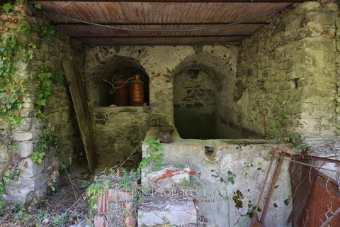 Villa i Pigna, Imperia, Pigna - € 195.000 | Ref: D413 - foto 18