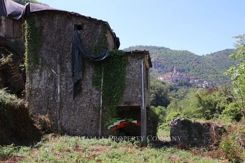Villa i Pigna, Imperia, Pigna - € 195.000 | Ref: D413 - foto 22