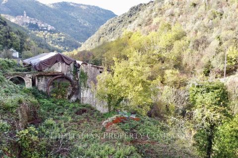 Villa i Pigna, Imperia, Pigna - € 195.000 | Ref: D413 - foto 26