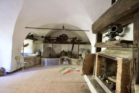 Villa i Pigna, Imperia, Pigna - € 195.000 | Ref: D413 - foto 31