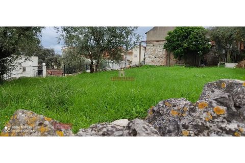 Villa i Ourem, Santarem, Ourem - € 71.500 | Ref: TPH221-20 - foto 2
