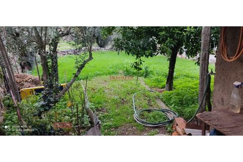 Villa i Ourem, Santarem, Ourem - € 71.500 | Ref: TPH221-20 - foto 3